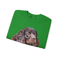 American Water Spaniel Unisex 50/50 Crewneck Sweatshirt