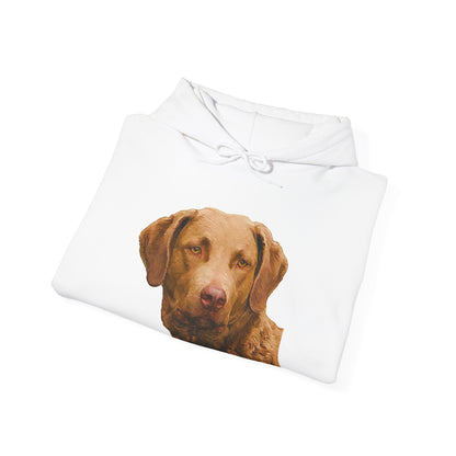 Chesapeake Bay Retriever Unisex 50/50 Hoodie: Cozy Companion
