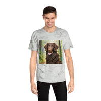 Curly-Coated Retriever  Color Blast T-Shirt