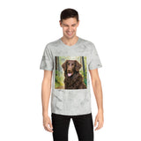 Curly-Coated Retriever  Color Blast T-Shirt