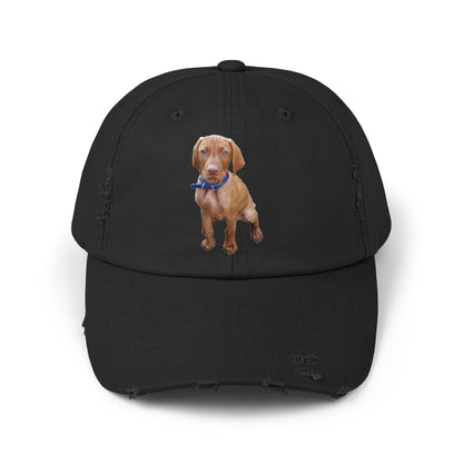 Vizsla Augie Test Unisex Distressed Cap