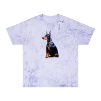 Doberman Pinscher #2 - Unisex Relaxed Fit Color Blast T-Shirt