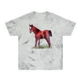 Horse 'Contata' Unisex Cotton Color Blast T-Shirt