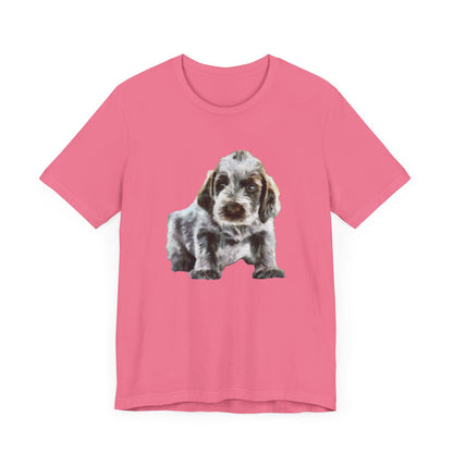 Spinone Italiano - Unisex Jersey Short Sleeve Tee