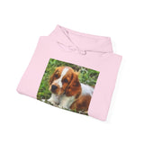 Welsh Springer Spaniel Unisex 50/50 Hoodie