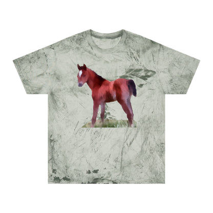 Horse 'Contata' Unisex Cotton Color Blast T-Shirt