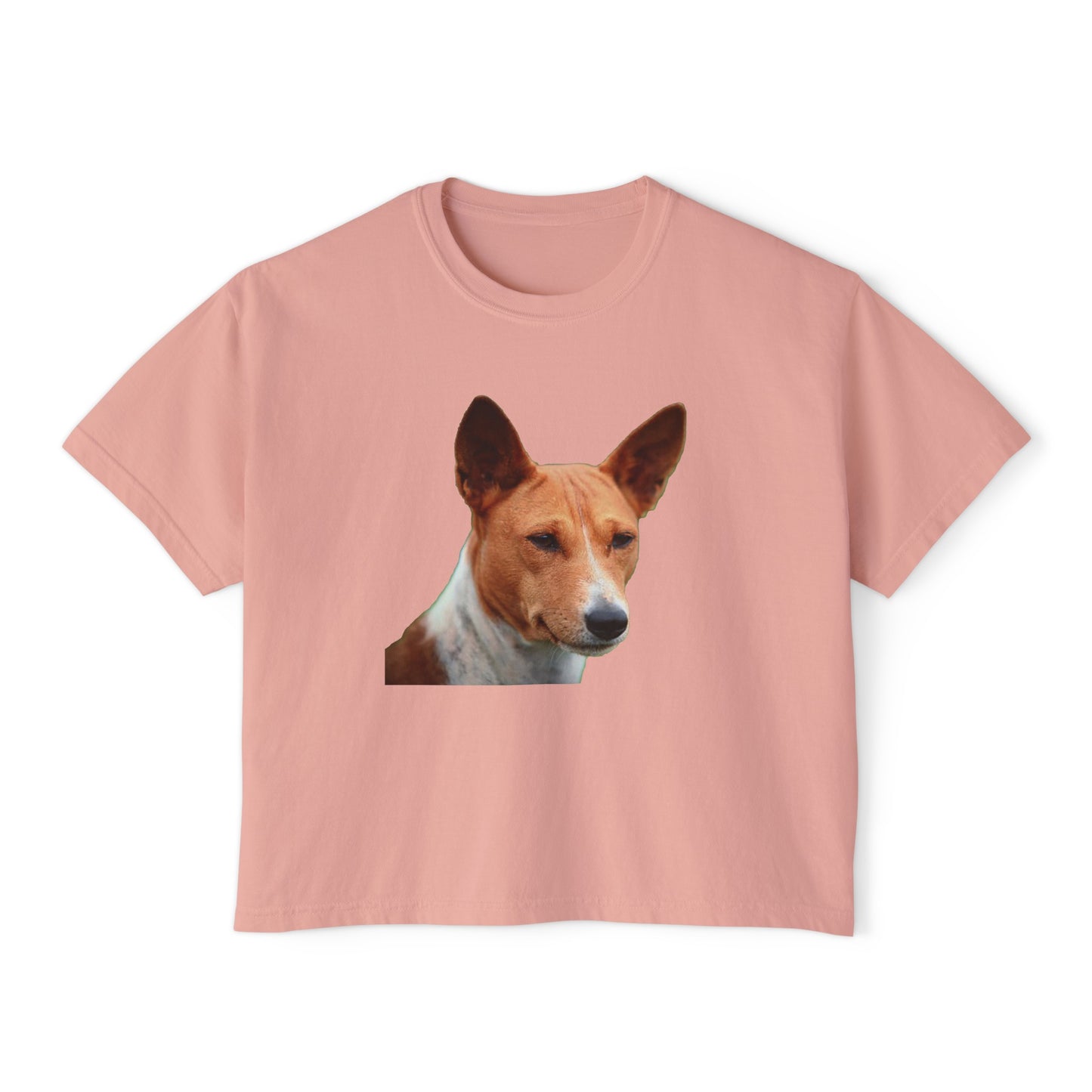 Basenji Women's Oversized Boxy Tee: A Harmony of Style and Comfort