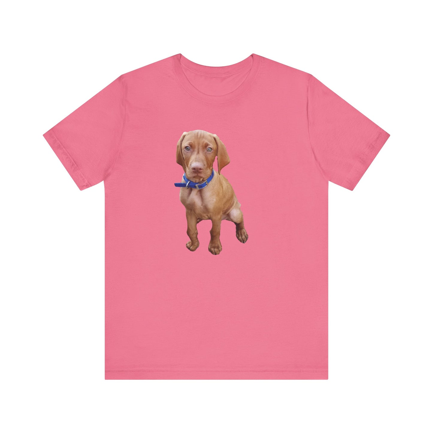 Vizsla 'Augie' Unisex Jersey Short Sleeve Tee