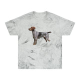 Wirehaired Pointing Griffon Unisex Color Blast T-Shirt