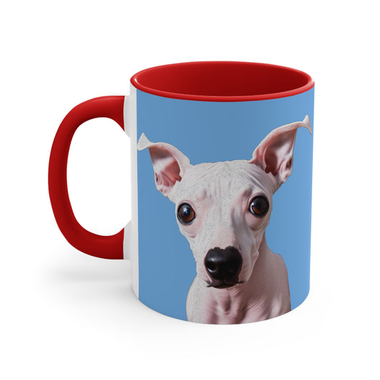 Charming American Hairless Terrier 11oz Ceramic Accent Mug