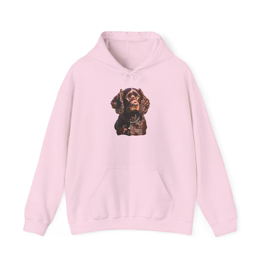 Boykin Spaniel --  Unisex 50/50 Hooded Sweatshirt