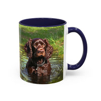 Boykin Spaniel - Ceramic Accent Coffee Mug - 2 Sizes