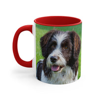 Drentsche Patrijshond 11oz Ceramic Accent Mug