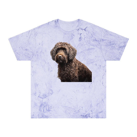 Barbet Unisex Color Blast T-Shirt
