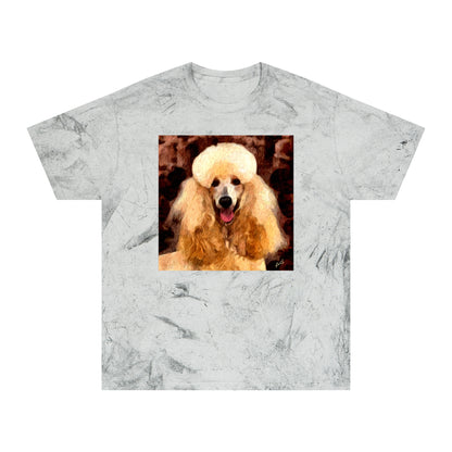 Poodle Cotton Unisex Color Blast T-Shirt