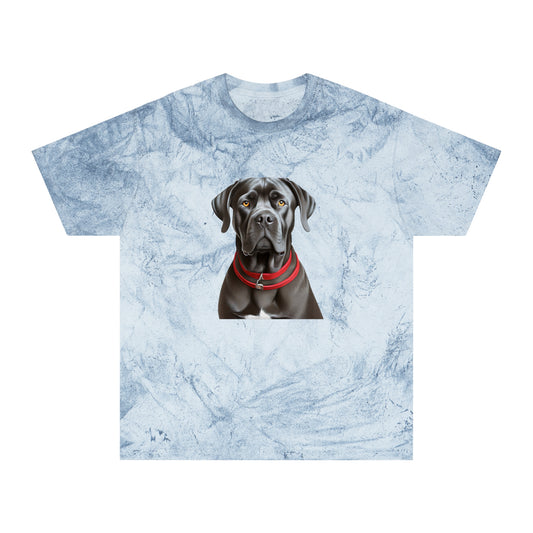 Cane Corso Unisex Color Blast T-Shirt