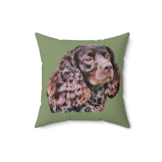 American Water Spaniel Spun Polyester Throw Pillow