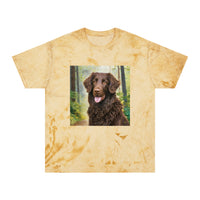 Curly-Coated Retriever  Color Blast T-Shirt