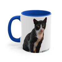 Cat from Hydra - Accent Coffee Mug, 11oz