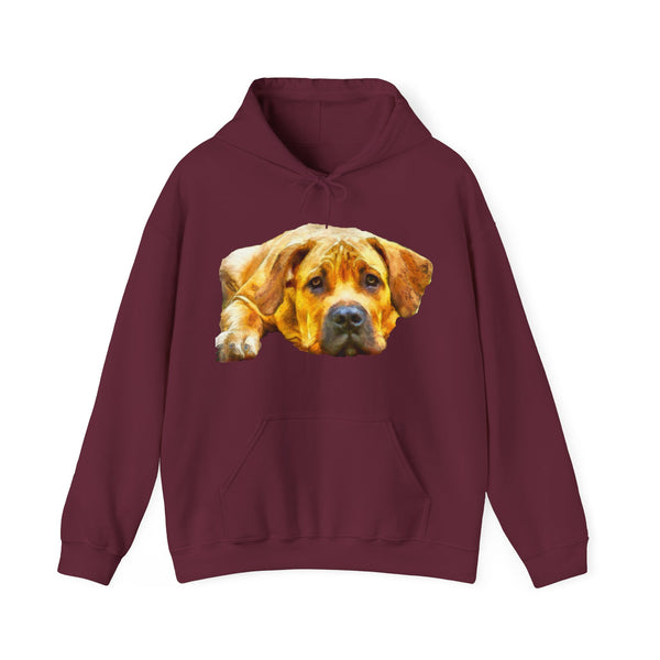 Boerboel - Unisex 50/50 Hoodie