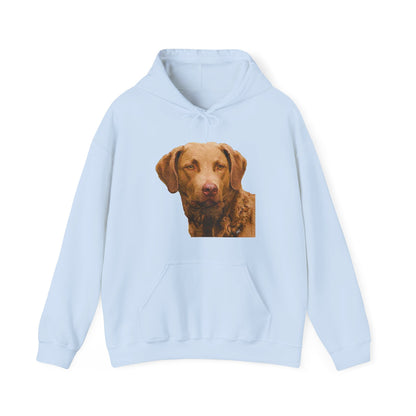 Chesapeake Bay Retriever Unisex 50/50 Hoodie: Cozy Companion