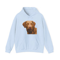 Chesapeake Bay Retriever Unisex 50/50 Hoodie: Cozy Companion