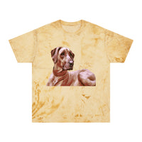Rhodesian Ridgeback 'Thor' Unisex Cotton Color Blast T-Shirt