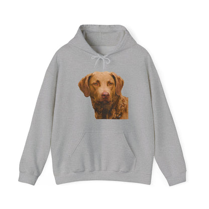 Chesapeake Bay Retriever Unisex 50/50 Hoodie: Cozy Companion