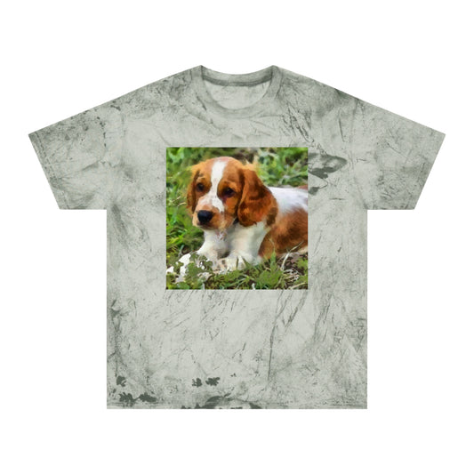 Welsh Springer Spaniel Unisex Ringspun Cotton  -  Color Blast T-Shirt
