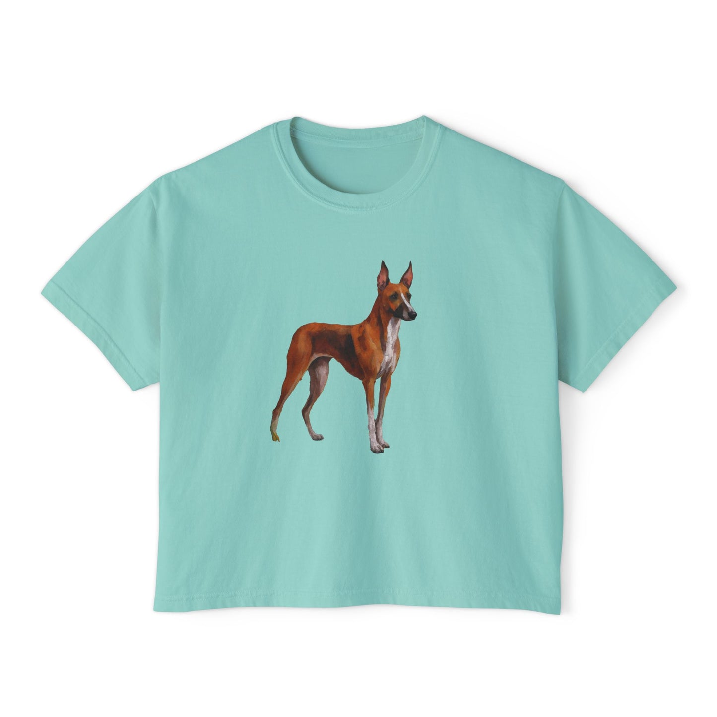 Azawakh Women's Oversized Boxy Tee