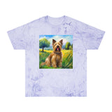 Briard Classic  Color Blast T-Shirt