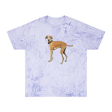 Sloughi - Arabian Greyhound - Unisex Color Blast T-Shirt