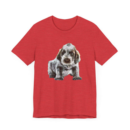 Spinone Italiano - Unisex Jersey Short Sleeve Tee