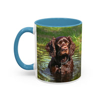 Boykin Spaniel -- Accent Coffee Mug --2 Sizes