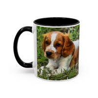 Welsh Springer Spaniel Ceramic Accent Coffee Mug (11, 15oz)