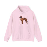 Bloodhound - Unisex 50/50  Hooded Sweatshirt