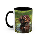 Boykin Spaniel - Ceramic Accent Coffee Mug - 2 Sizes