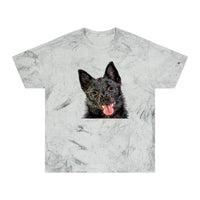 Schipperke Unisex Cotton Color Blast T-Shirt