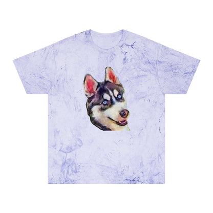 Siberian Husky 'Iditarod' Unisex Cotton Color Blast T-Shirt