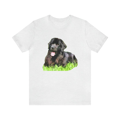 Newfoundland 'Madden'  -  Classic Jersey Short Sleeve Tee