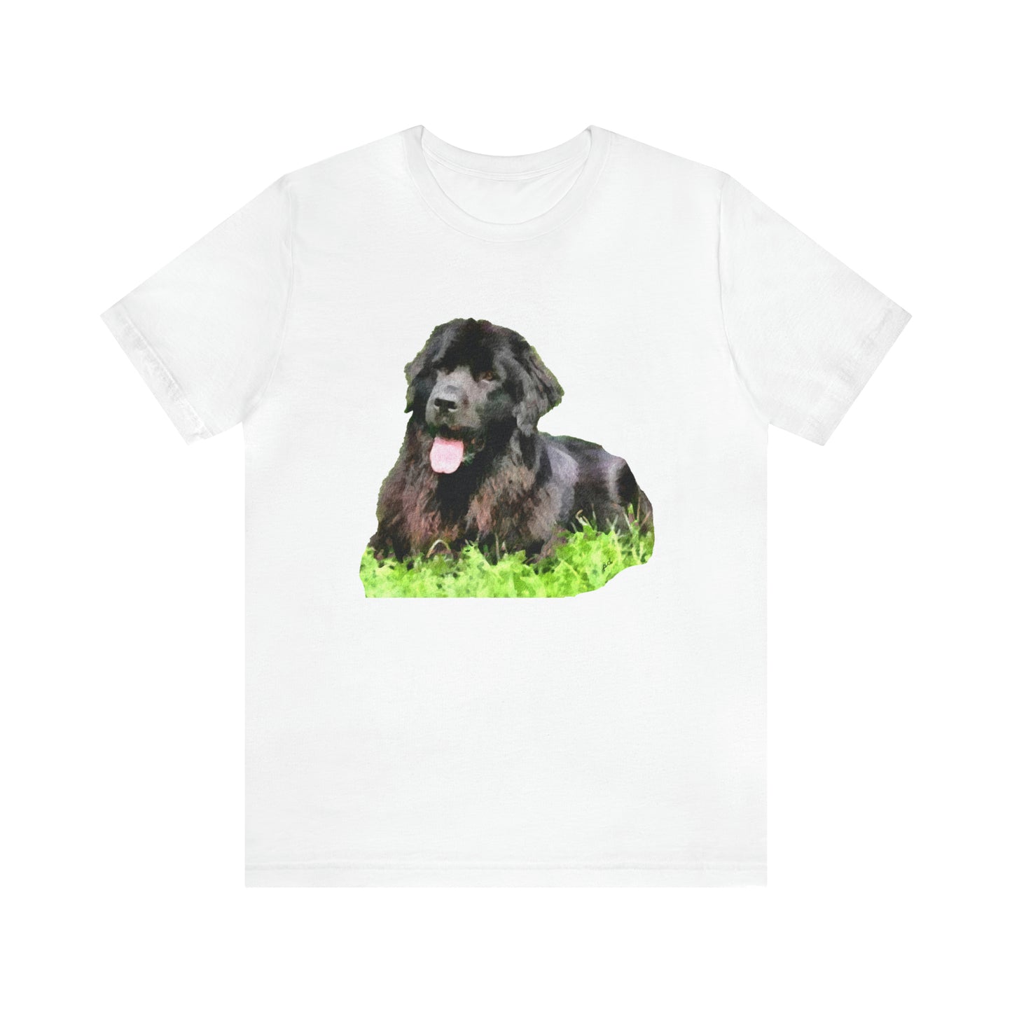 Newfoundland 'Madden'  -  Classic Jersey Short Sleeve Tee
