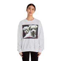 Maltese - Unisex 50/50  Crewneck Sweatshirt