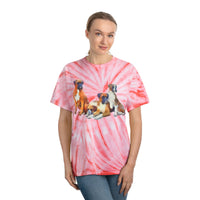 Boxer Quartet - Unisex Cotton Tie-Dye Tee in Cyclone