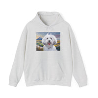 Coton de Tulear  --  Unisex 50/50  Hooded Sweatshirt