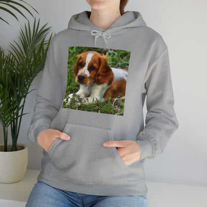 Welsh Springer Spaniel Unisex 50/50 Hoodie