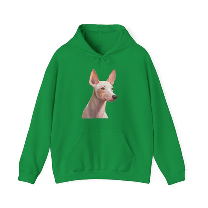 Xoloitzcuintli 'Mexican Hairless' 50/50 Hooded Sweatshirt