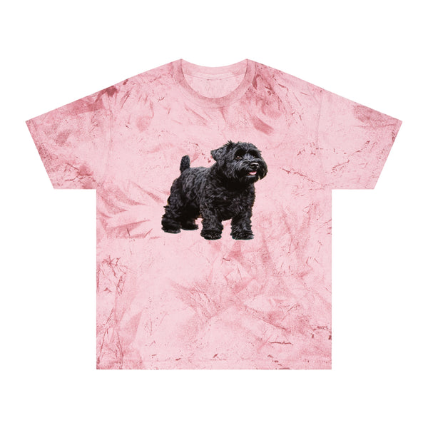 Black Russian Terrier Unisex Color Blast T-Shirt