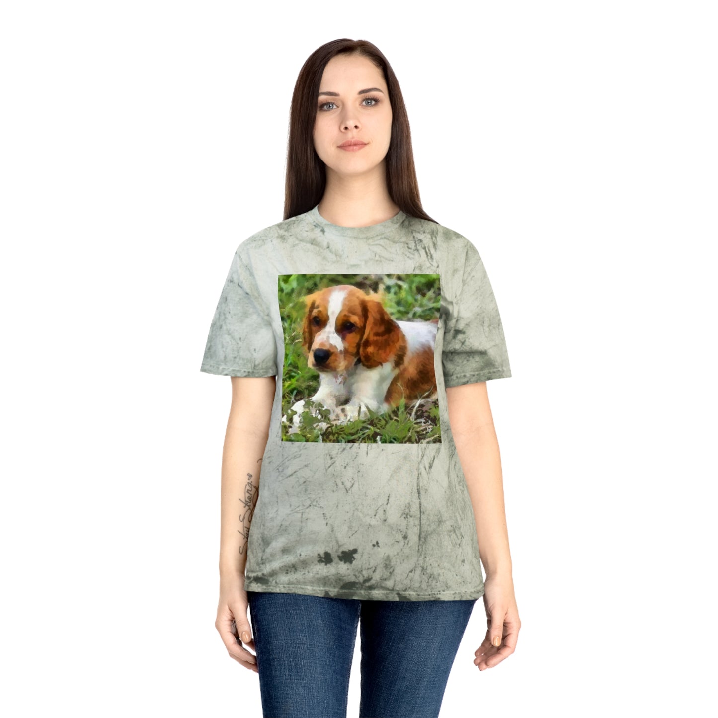 Welsh Springer Spaniel Unisex Color Blast T-Shirt