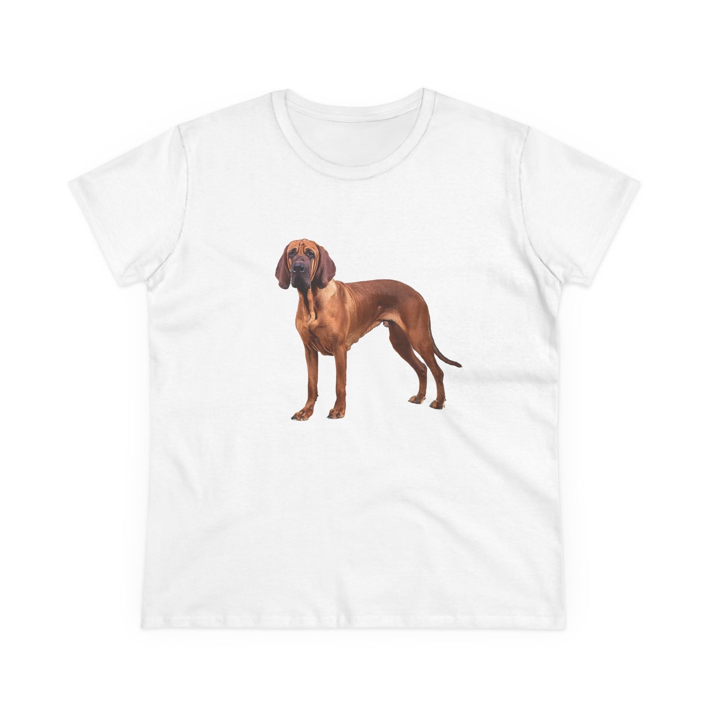 Bloodhound Women's Midweight Cotton Tee