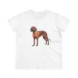 Bloodhound Women's Midweight Cotton Tee